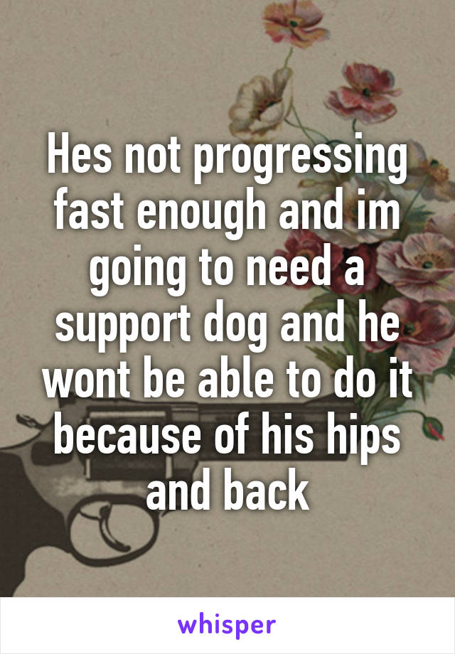 Hes not progressing fast enough and im going to need a support dog and he wont be able to do it because of his hips and back