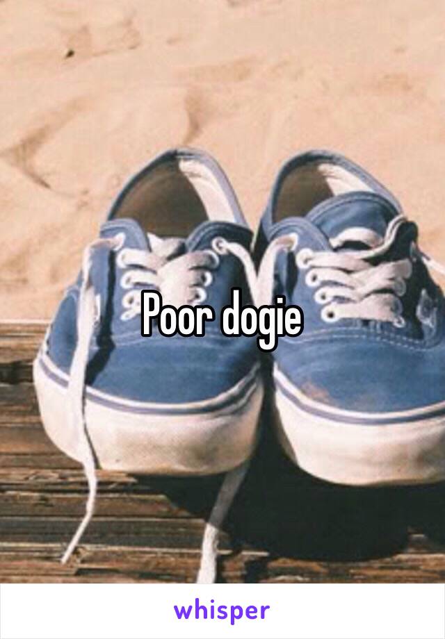 Poor dogie 