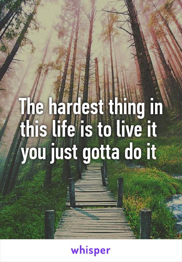 The hardest thing in this life is to live it  you just gotta do it 