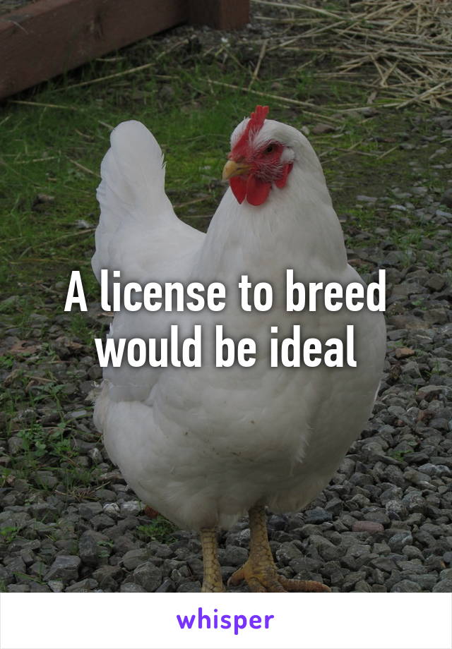 A license to breed would be ideal