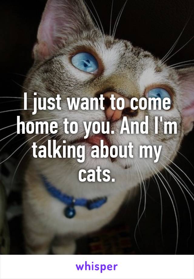 I just want to come home to you. And I'm talking about my cats.