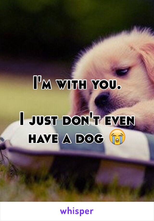 I'm with you.

I just don't even have a dog 😭