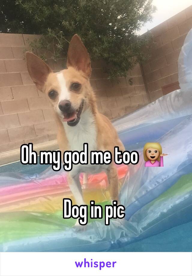 Oh my god me too 💁🏼

Dog in pic