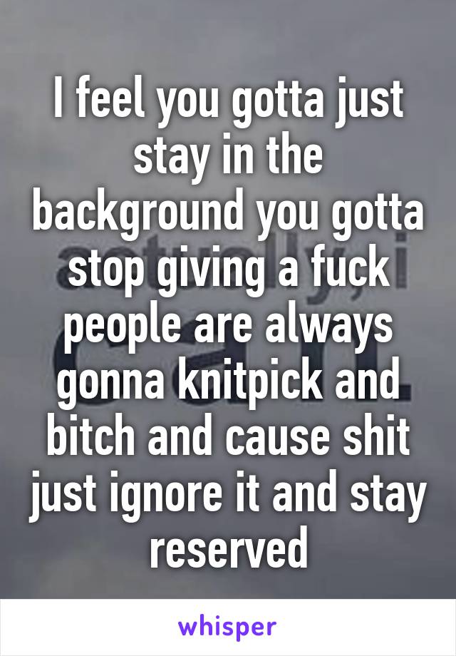 I feel you gotta just stay in the background you gotta stop giving a fuck people are always gonna knitpick and bitch and cause shit just ignore it and stay reserved