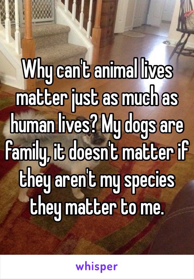Why can't animal lives matter just as much as human lives? My dogs are family, it doesn't matter if they aren't my species they matter to me. 