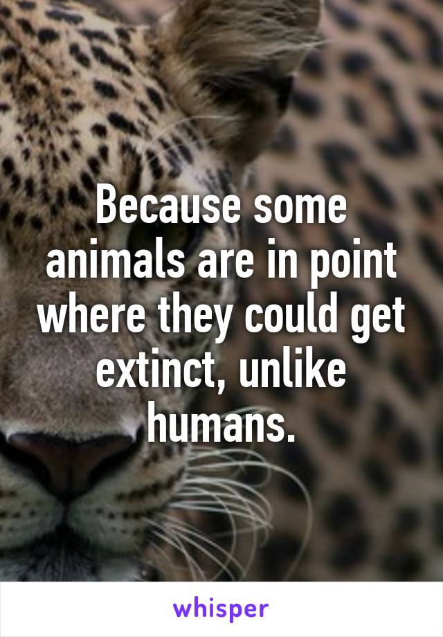 Because some animals are in point where they could get extinct, unlike humans.