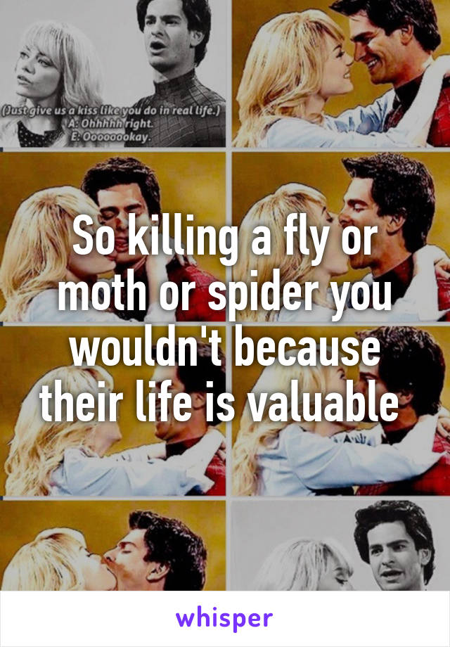 So killing a fly or moth or spider you wouldn't because their life is valuable 