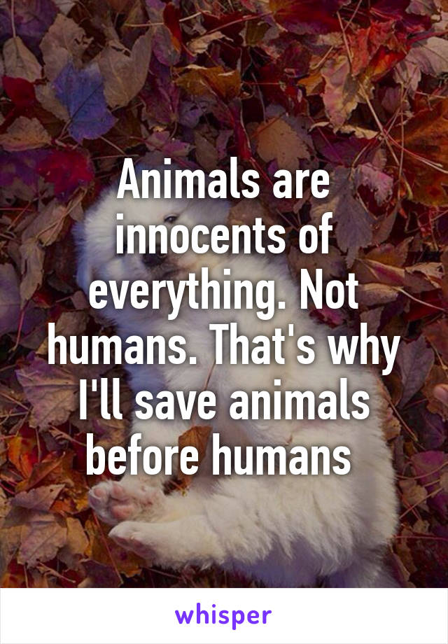 Animals are innocents of everything. Not humans. That's why I'll save animals before humans 