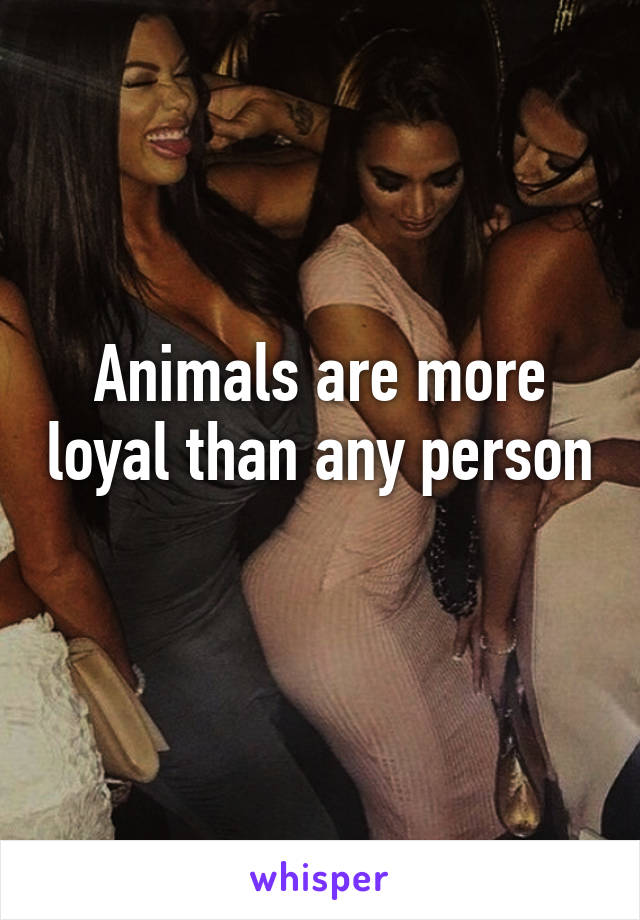 Animals are more loyal than any person 