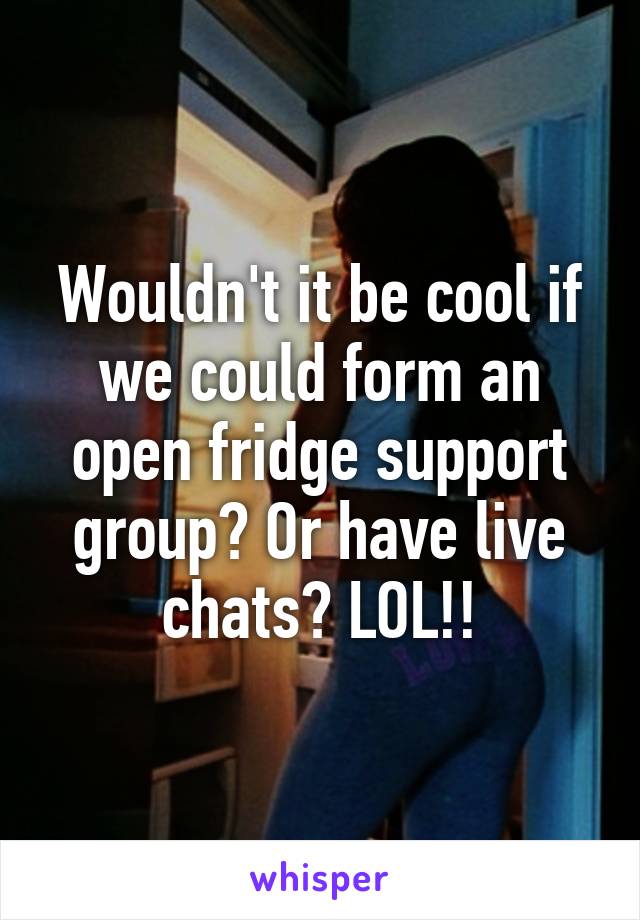 Wouldn't it be cool if we could form an open fridge support group? Or have live chats? LOL!!
