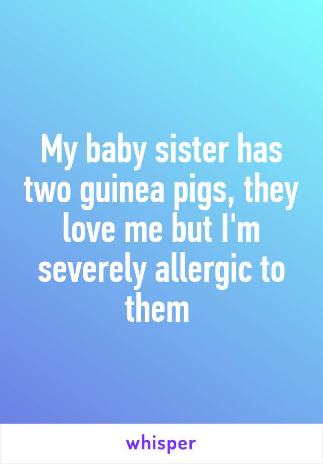 My baby sister has two guinea pigs, they love me but I'm severely allergic to them 