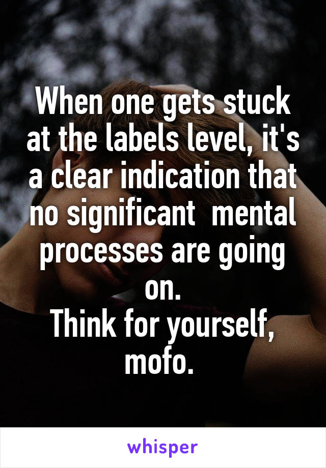 When one gets stuck at the labels level, it's a clear indication that no significant  mental processes are going on.
Think for yourself, mofo. 
