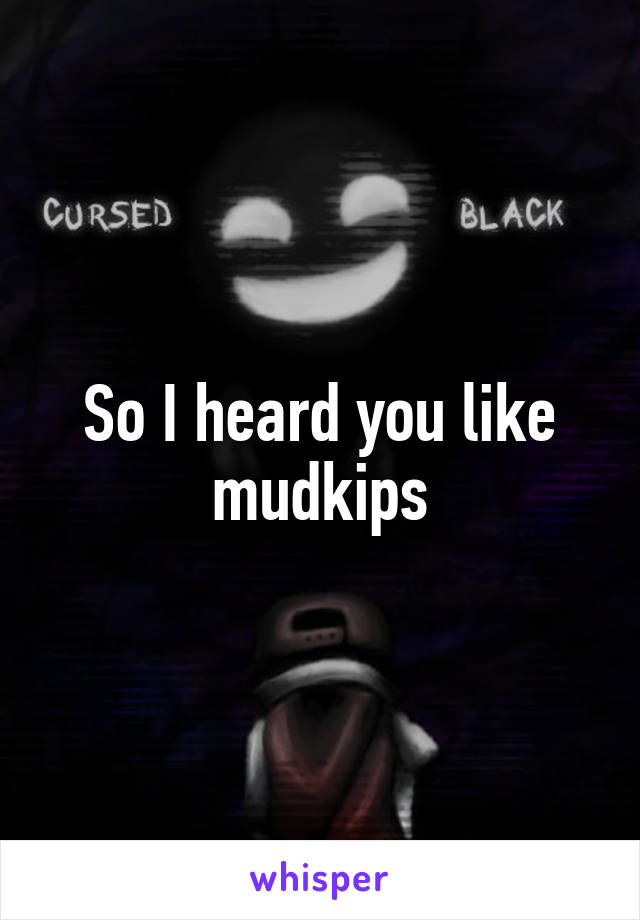 So I heard you like mudkips