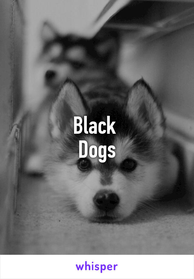 Black 
Dogs