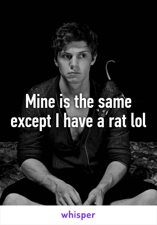 Mine is the same except I have a rat lol