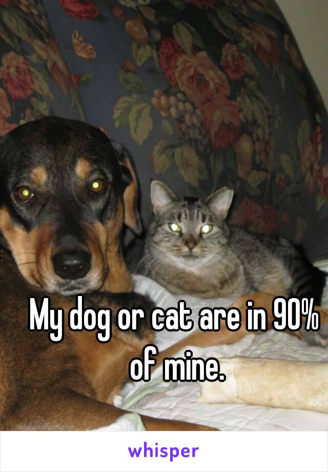 My dog or cat are in 90% of mine.