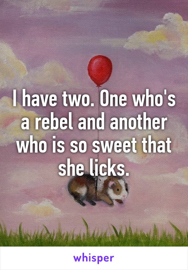 I have two. One who's a rebel and another who is so sweet that she licks.