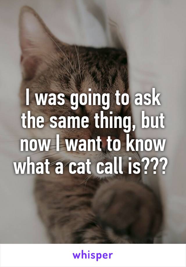 I was going to ask the same thing, but now I want to know what a cat call is??? 