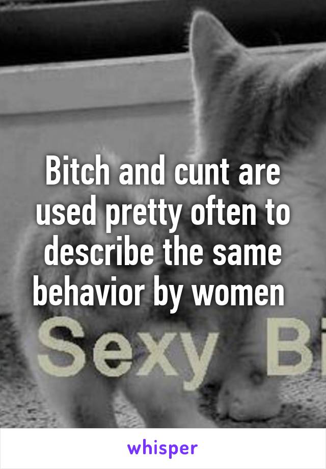 Bitch and cunt are used pretty often to describe the same behavior by women 