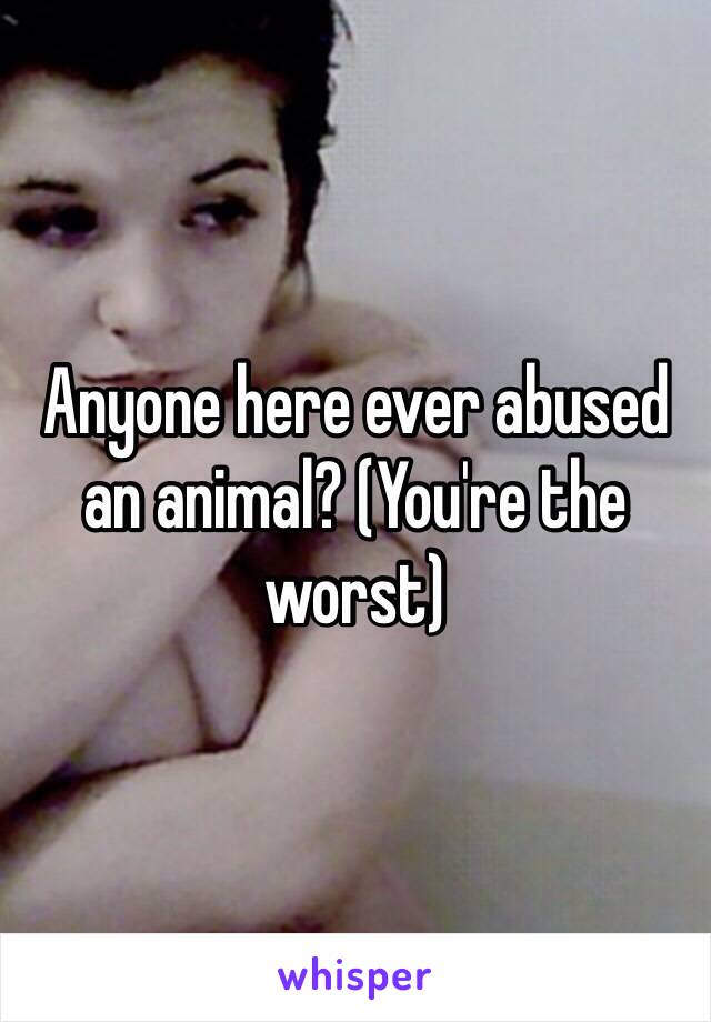 Anyone here ever abused an animal? (You're the worst)