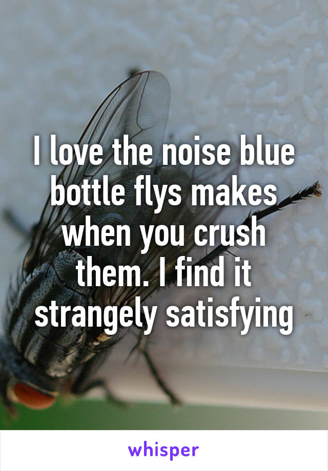 I love the noise blue bottle flys makes when you crush them. I find it strangely satisfying