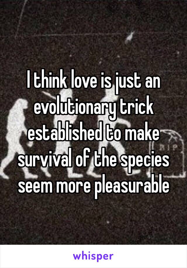 I think love is just an evolutionary trick established to make survival of the species seem more pleasurable