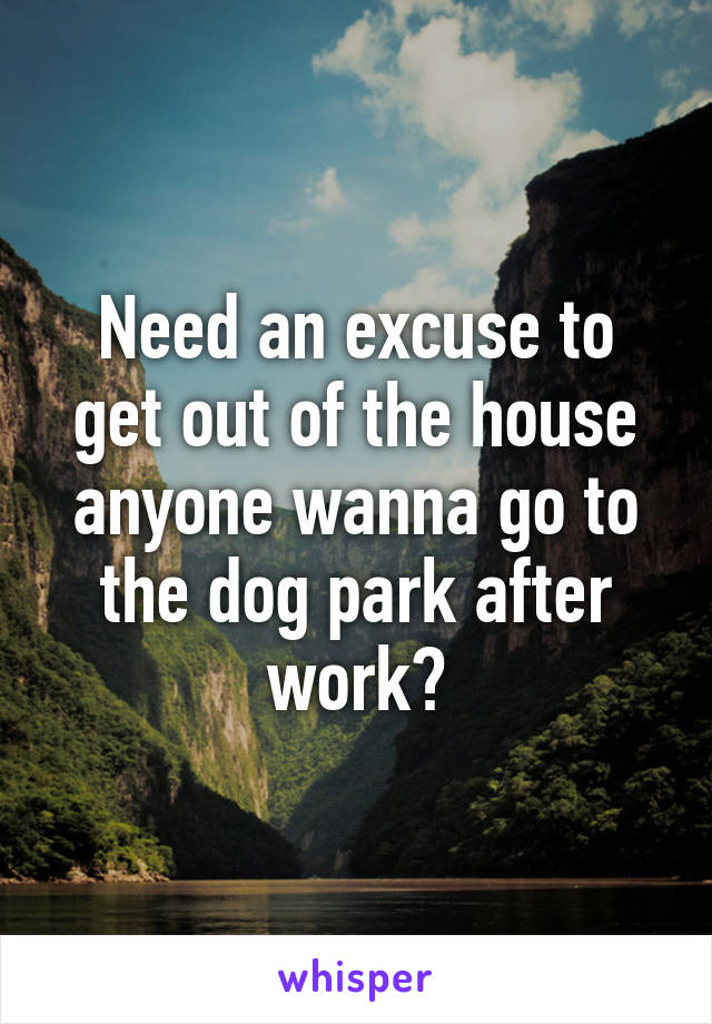 Need an excuse to get out of the house anyone wanna go to the dog park after work?