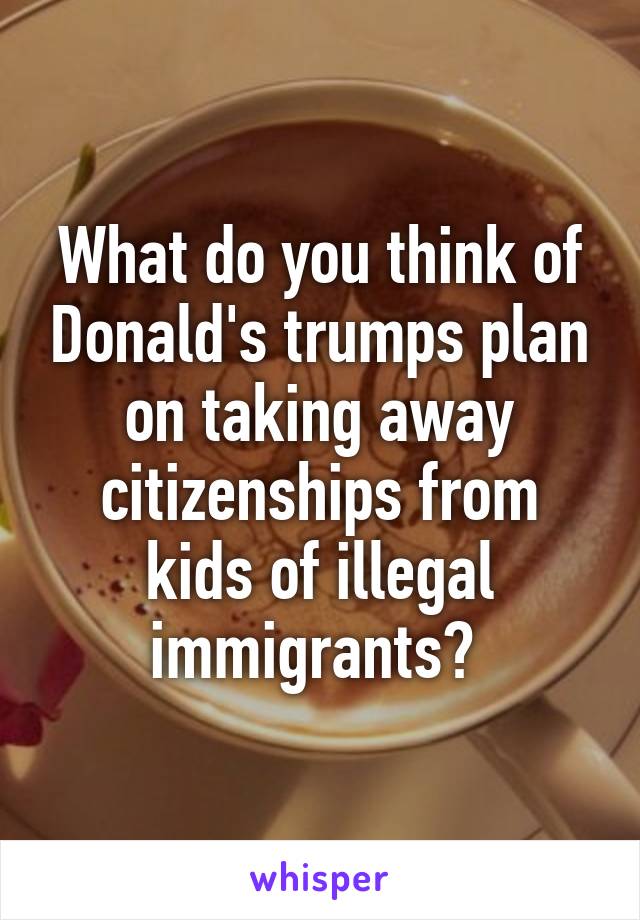 What do you think of Donald's trumps plan on taking away citizenships from kids of illegal immigrants? 