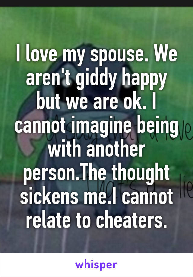 I love my spouse. We aren't giddy happy but we are ok. I cannot imagine being with another person.The thought sickens me.I cannot relate to cheaters.