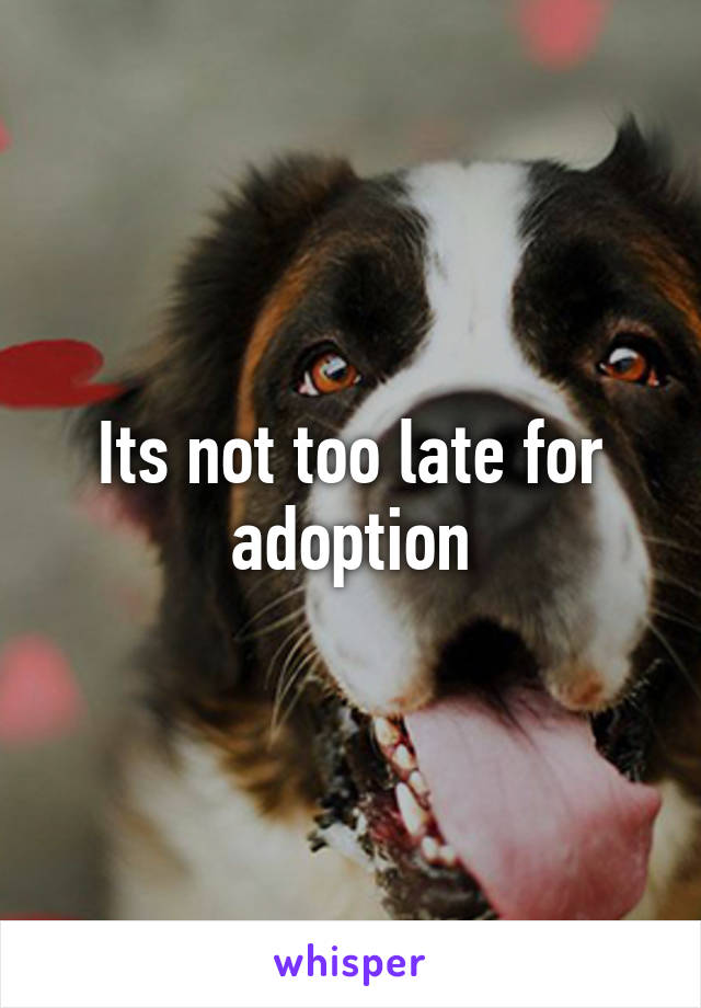 Its not too late for adoption