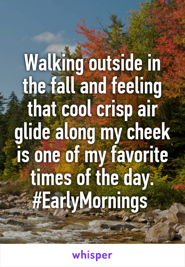 Walking outside in the fall and feeling that cool crisp air glide along my cheek is one of my favorite times of the day. #EarlyMornings 