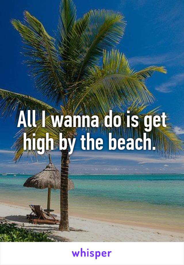 All I wanna do is get high by the beach. 