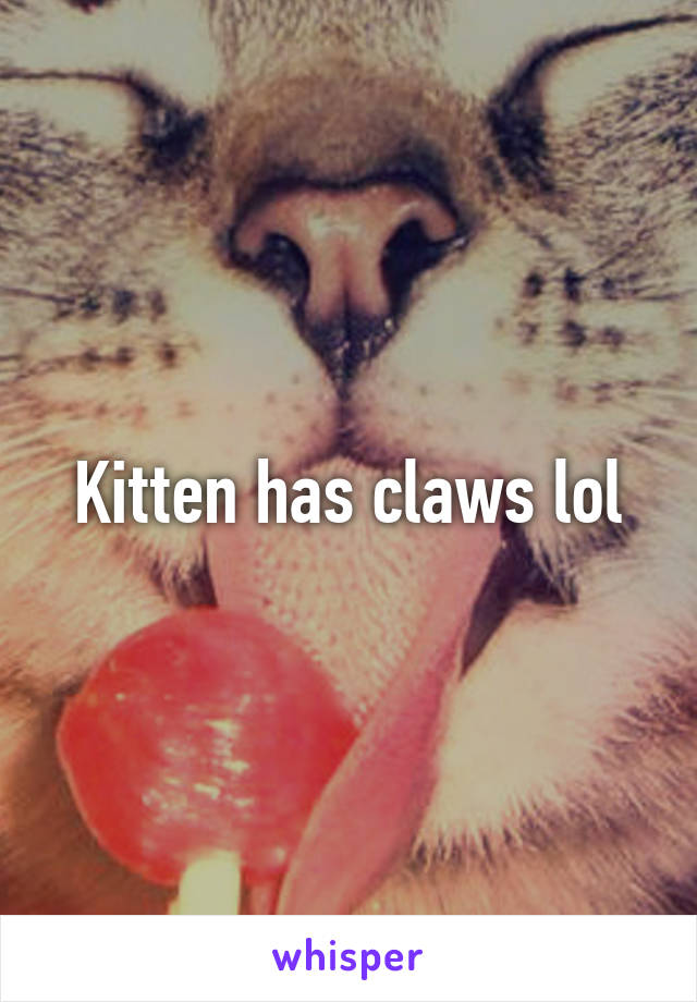 Kitten has claws lol