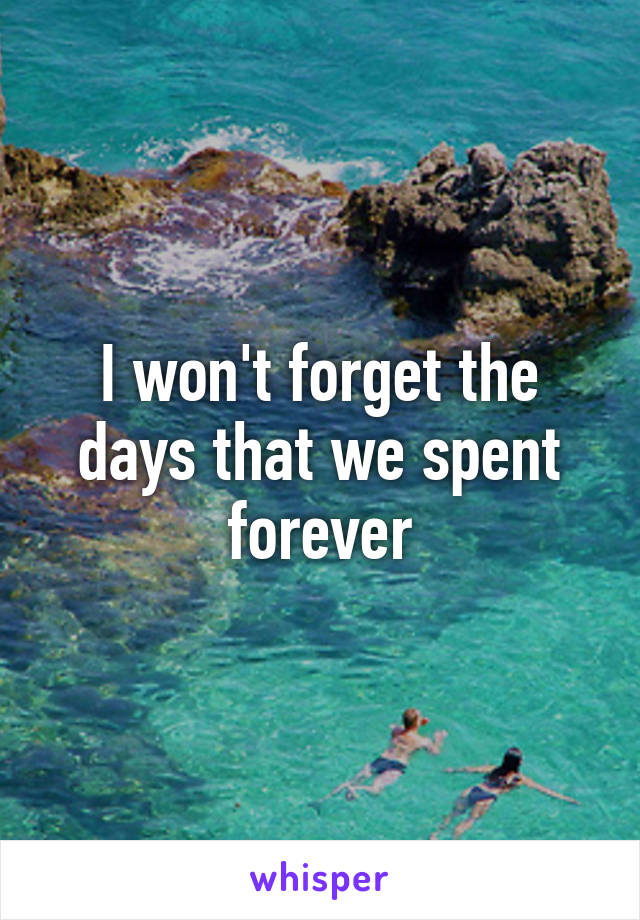 I won't forget the days that we spent forever