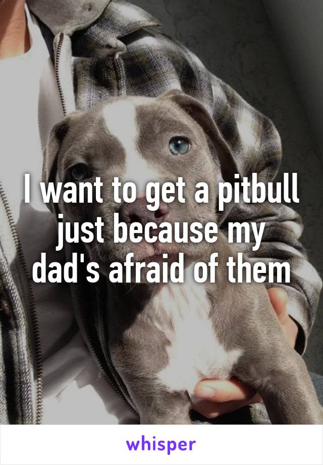 I want to get a pitbull just because my dad's afraid of them