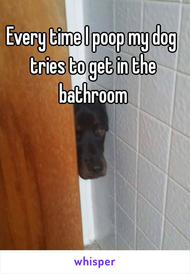 Every time I poop my dog tries to get in the bathroom