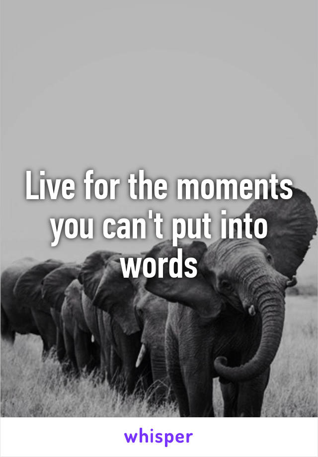 Live for the moments you can't put into words