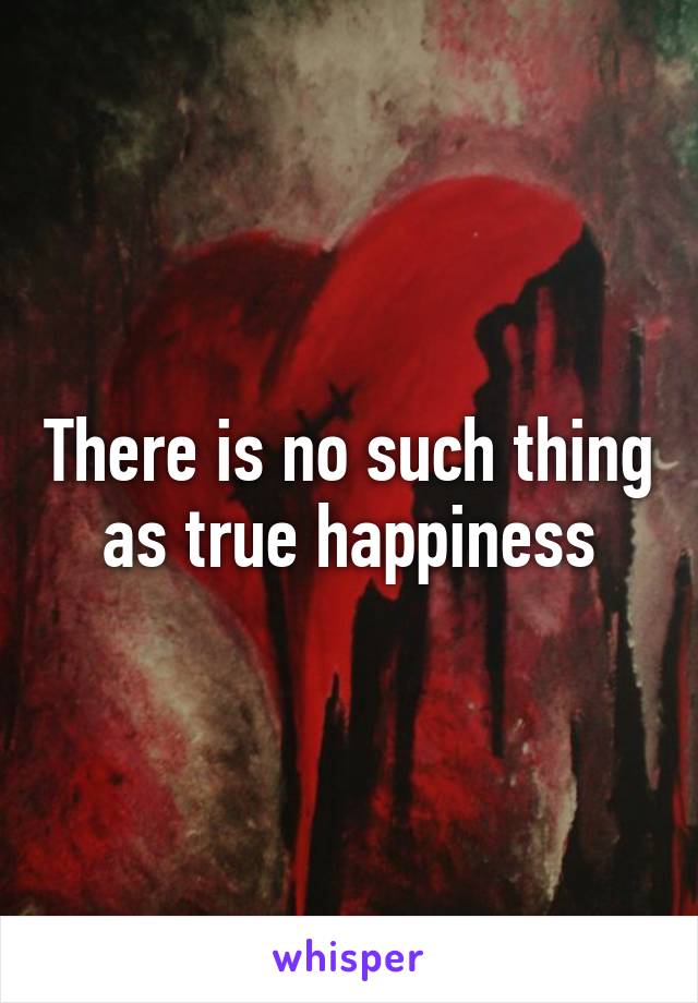 There is no such thing as true happiness