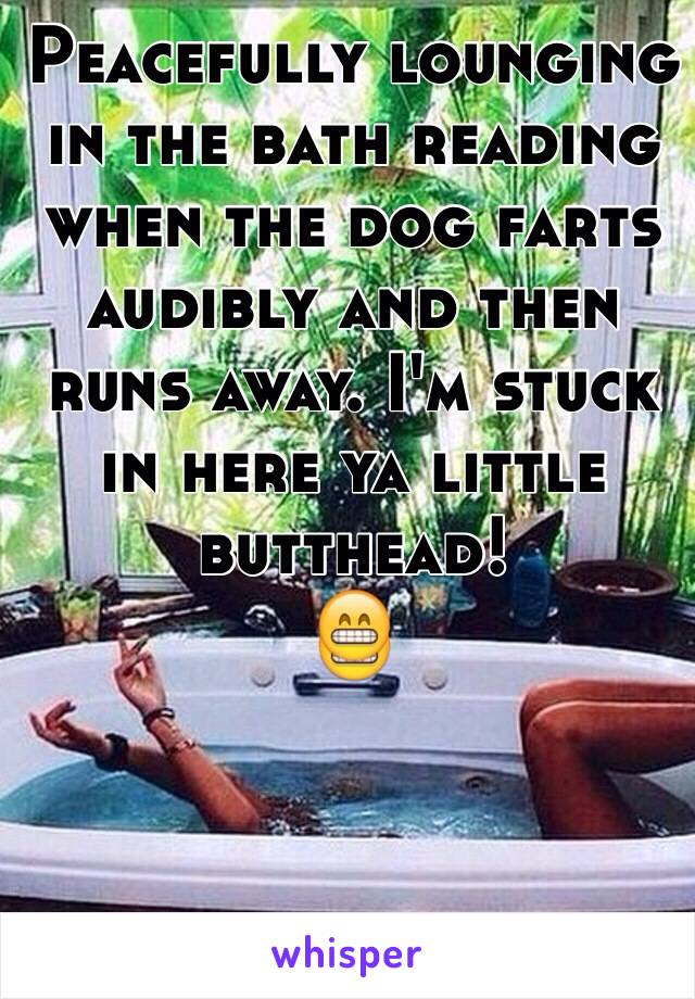 Peacefully lounging in the bath reading when the dog farts audibly and then runs away. I'm stuck in here ya little butthead!
😁