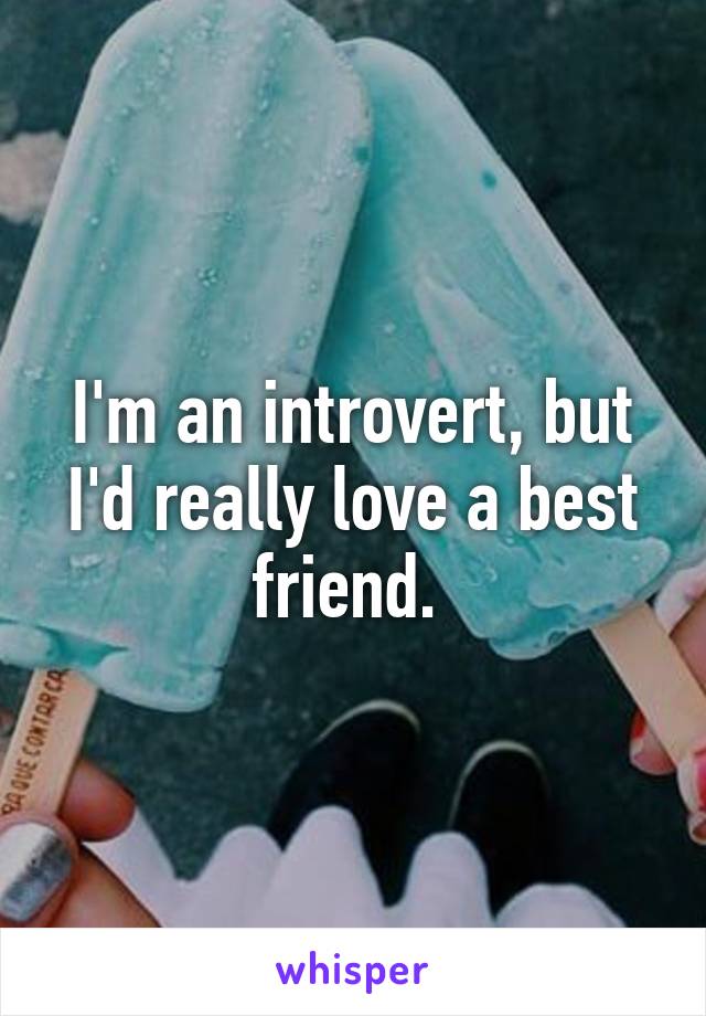 I'm an introvert, but I'd really love a best friend. 