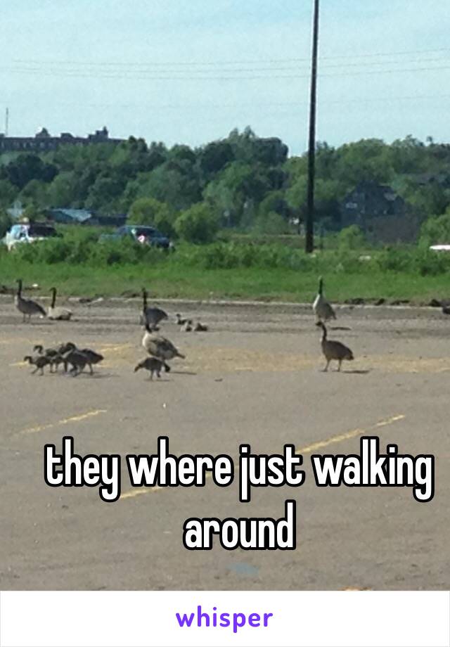 they where just walking around 