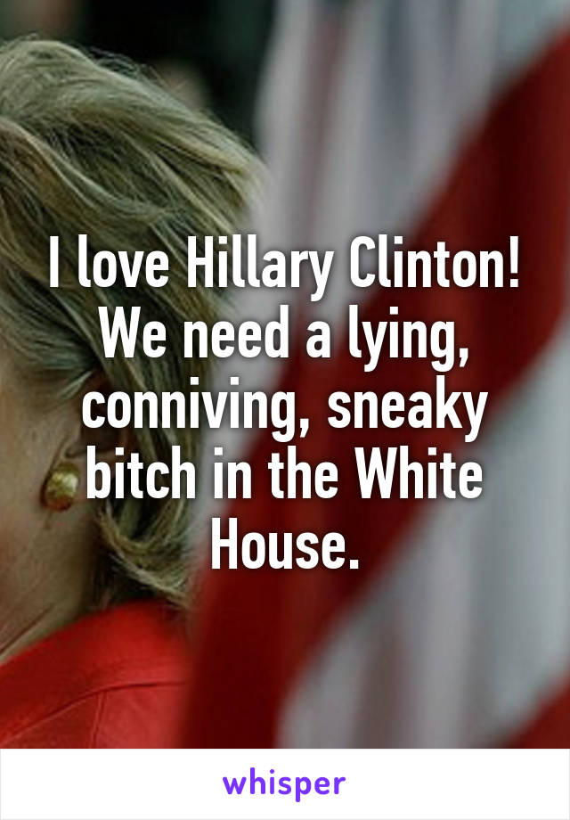 I love Hillary Clinton! We need a lying, conniving, sneaky bitch in the White House.