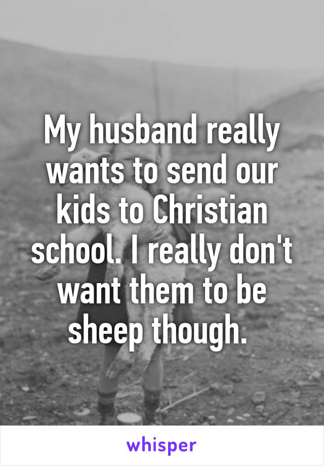 My husband really wants to send our kids to Christian school. I really don't want them to be sheep though. 