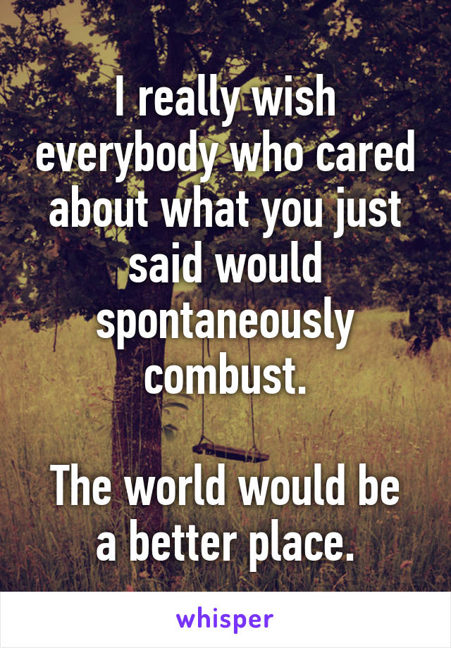 I really wish everybody who cared about what you just said would spontaneously combust.

The world would be a better place.