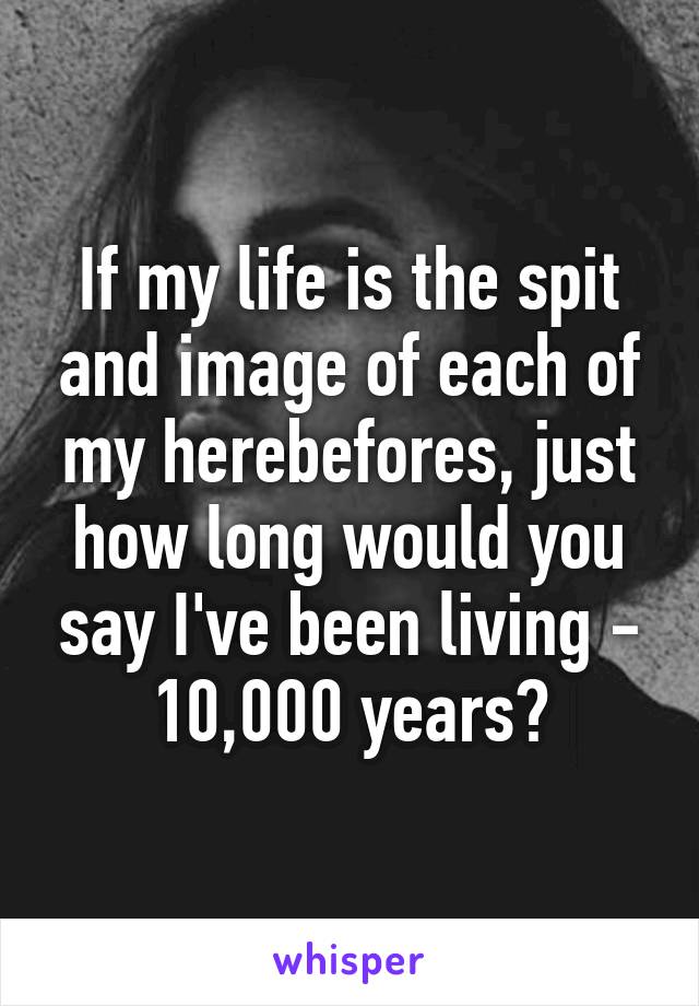 If my life is the spit and image of each of my herebefores, just how long would you say I've been living - 10,000 years?