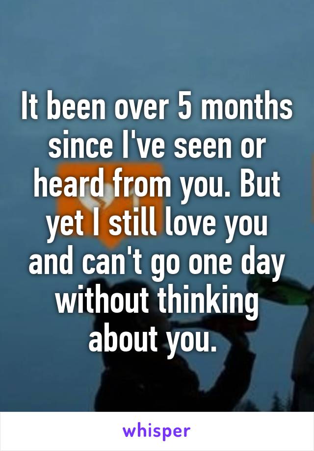 It been over 5 months since I've seen or heard from you. But yet I still love you and can't go one day without thinking about you. 