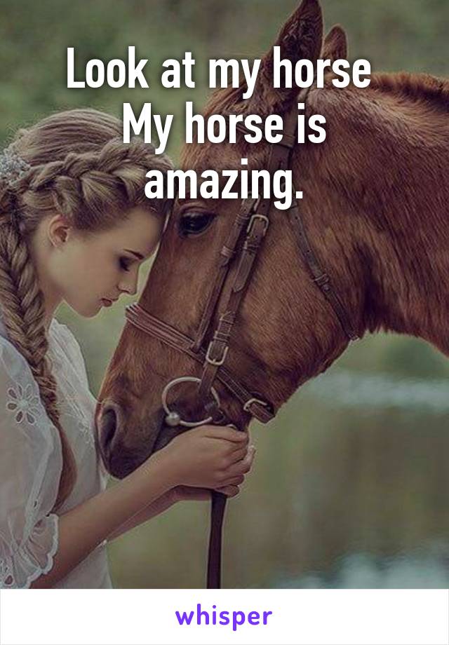 Look at my horse 
My horse is amazing.






