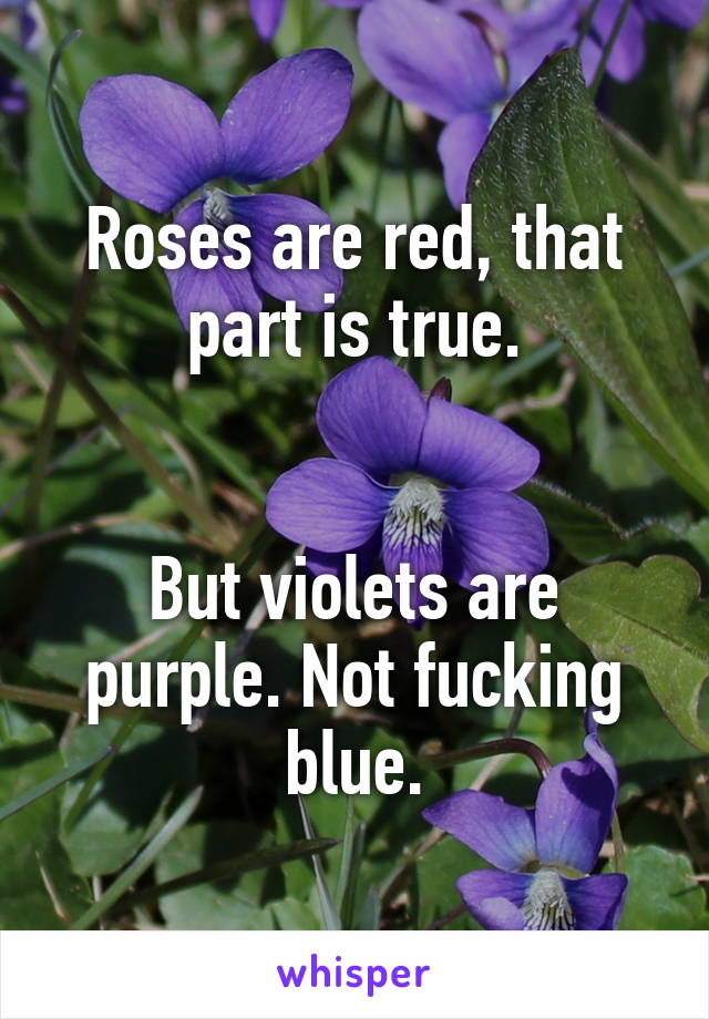 Roses are red, that part is true.


But violets are purple. Not fucking blue.