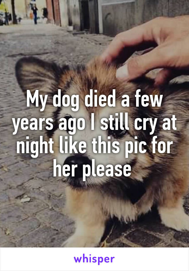 My dog died a few years ago I still cry at night like this pic for her please 