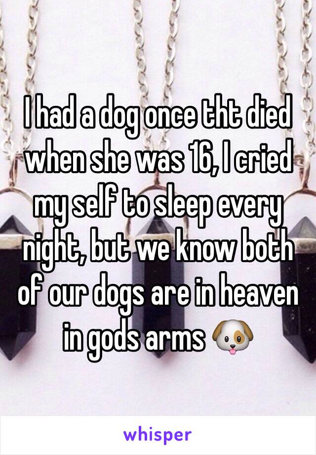 I had a dog once tht died when she was 16, I cried my self to sleep every night, but we know both of our dogs are in heaven in gods arms 🐶